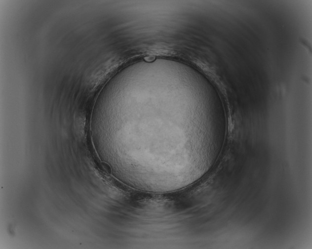 X0000101210201200807181426