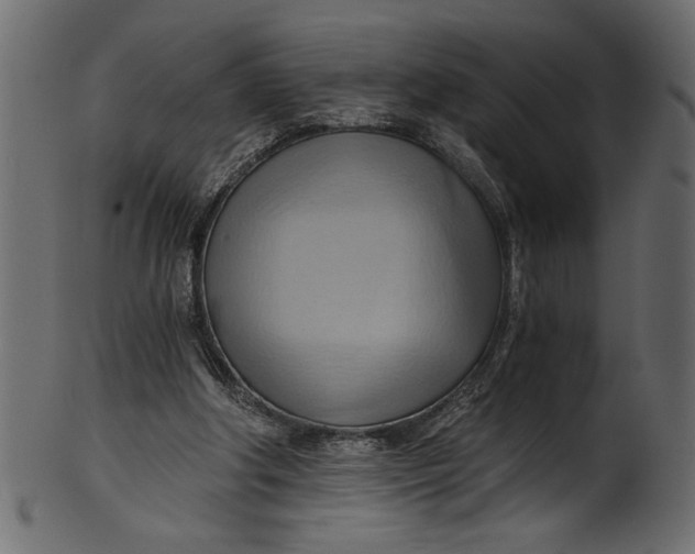 X0000101210202200807181426