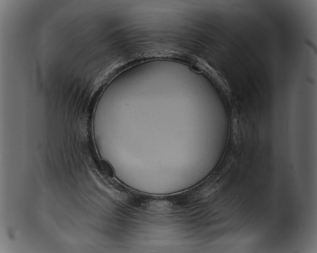 X0000101210203200807181426