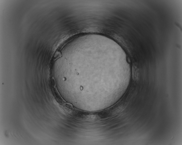 X0000101210204200807181426