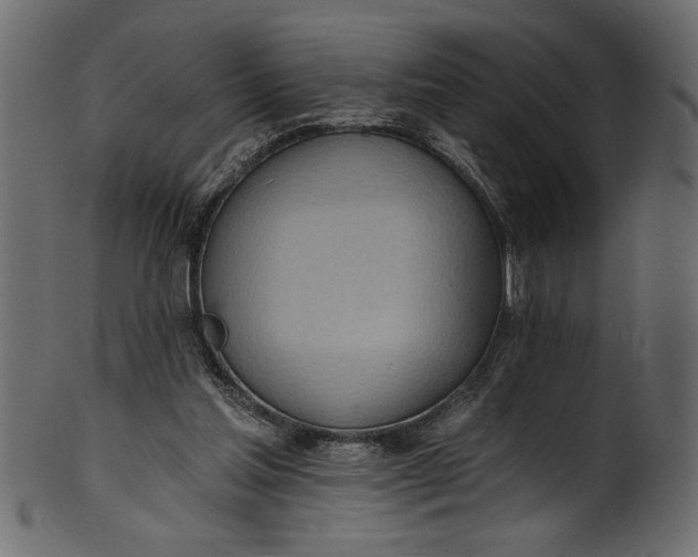 X0000101210205200807181426