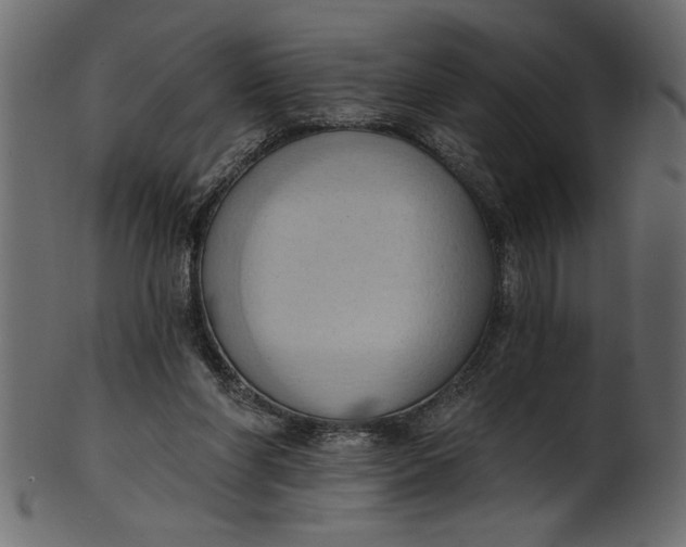 X0000101210206200807181426