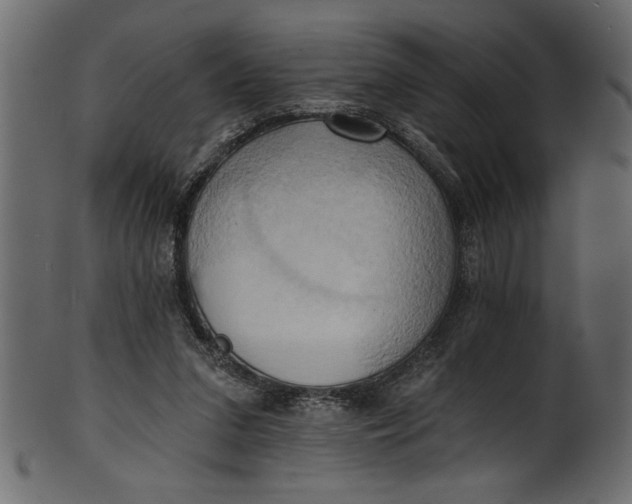 X0000101210207200807181426