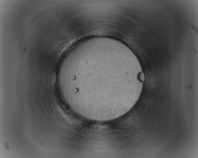 X0000101210208200807181426