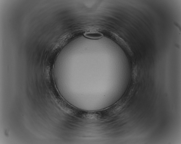 X0000101210209200807181426