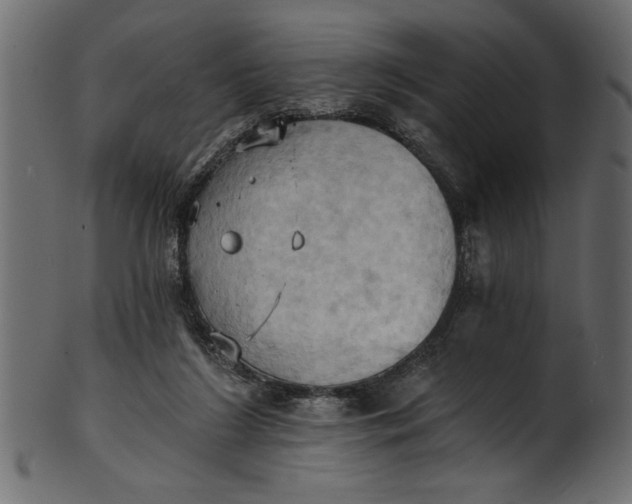 X0000101210212200807181426