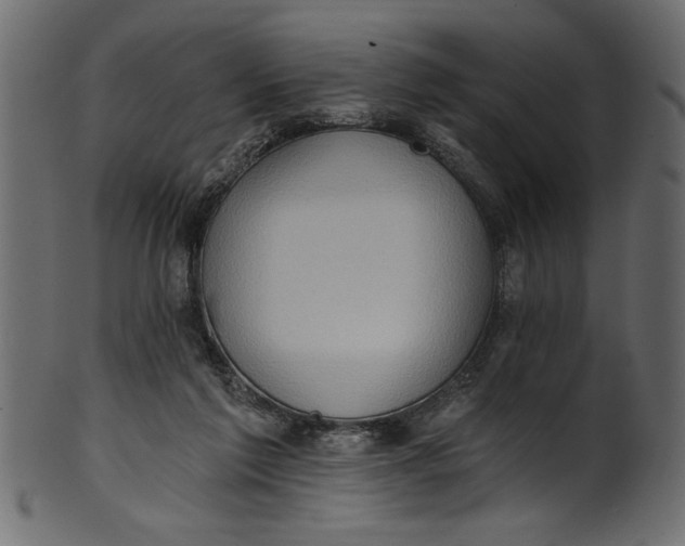 X0000101210213200807181426