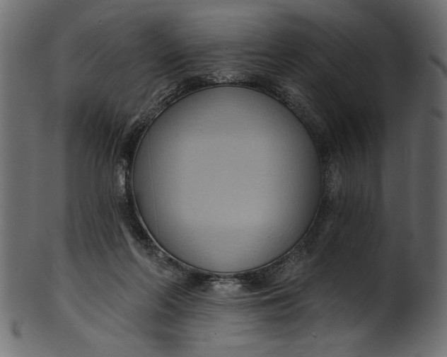 X0000101210214200807181426