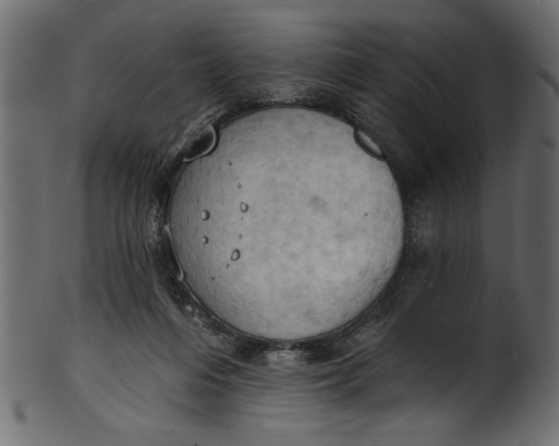 X0000101210216200807181426