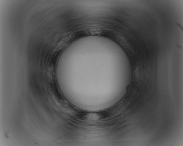 X0000101210218200807181426