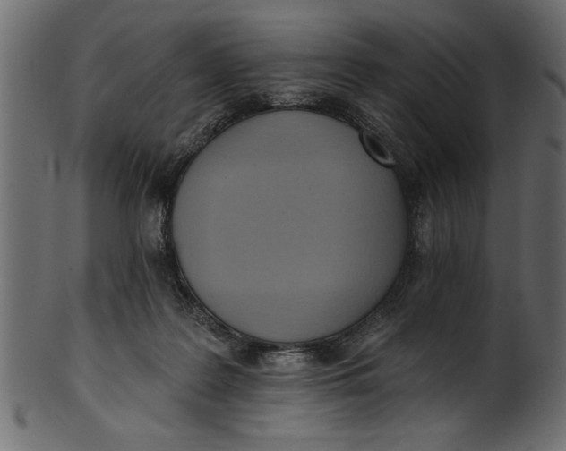 X0000101210219200807181426