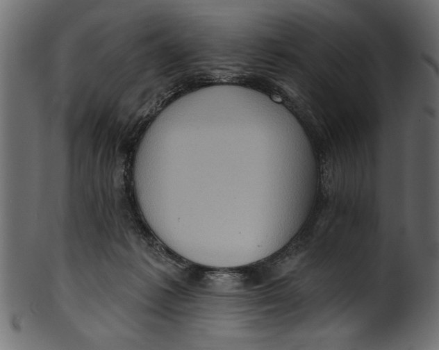 X0000101210221200807181426