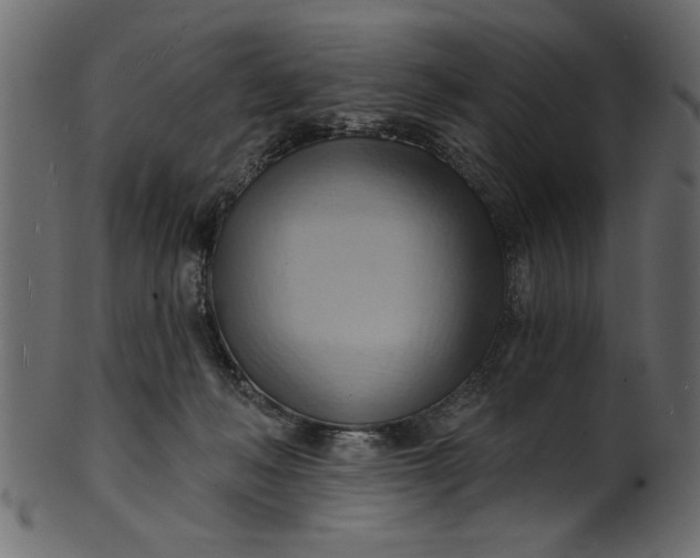 X0000101210222200807181426