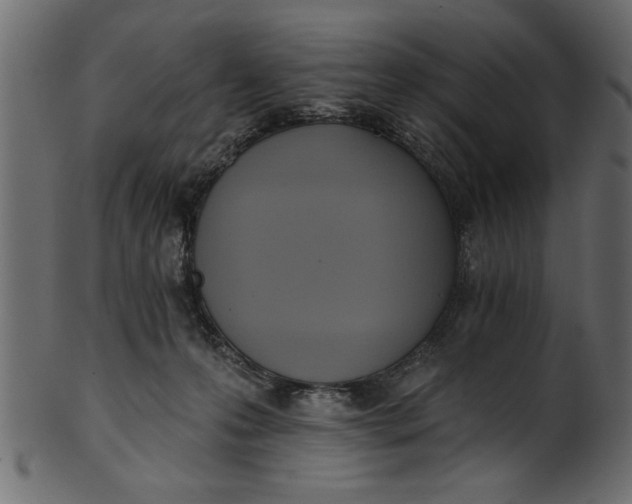 X0000101210223200807181426