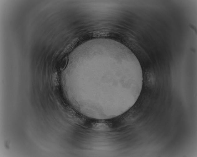 X0000101210224200807181426