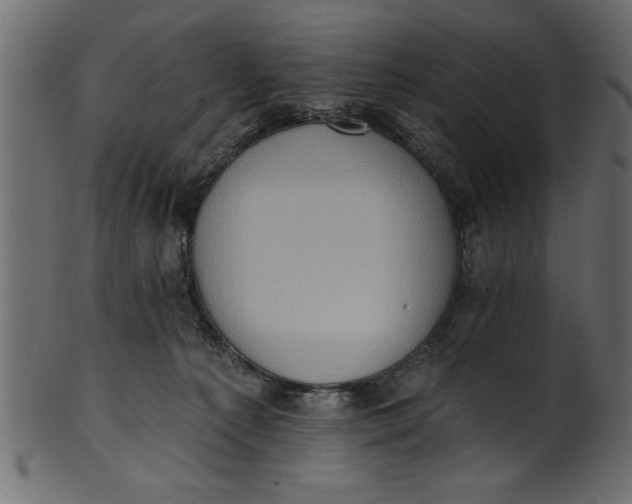 X0000101210225200807181425