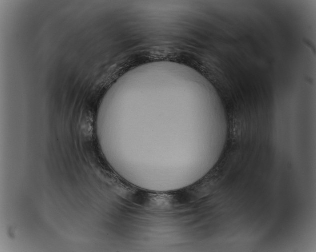 X0000101210226200807181425