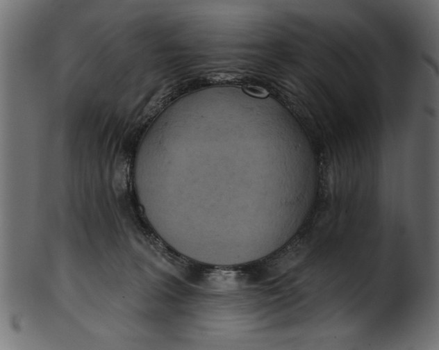 X0000101210227200807181425