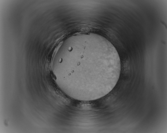 X0000101210228200807181425