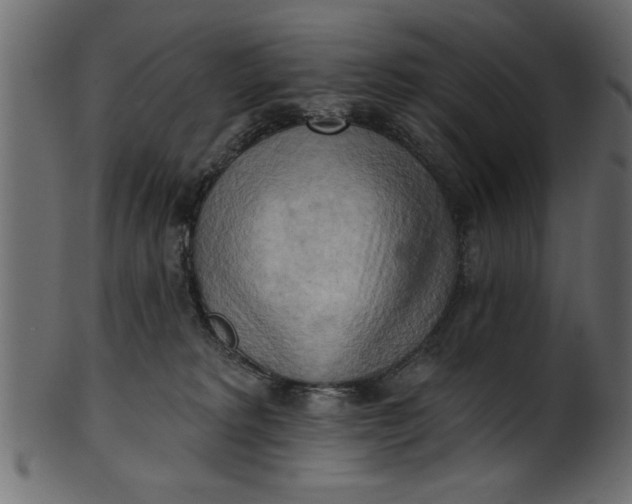 X0000101210229200807181425