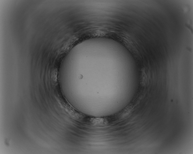 X0000101210230200807181425