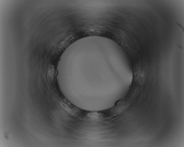 X0000101210231200807181425