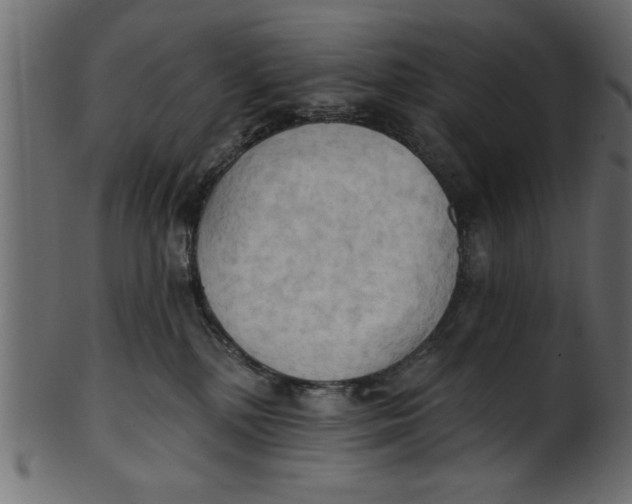 X0000101210232200807181425