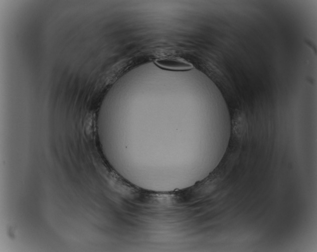 X0000101210233200807181425