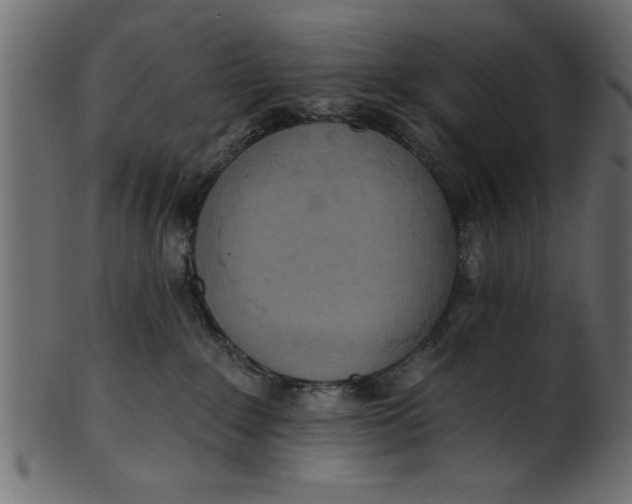 X0000101210235200807181425