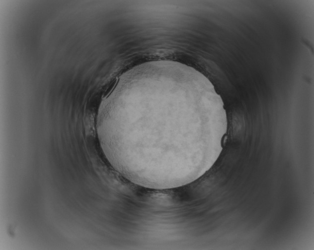 X0000101210236200807181425