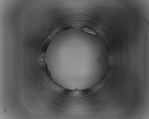 X0000101210237200807181425