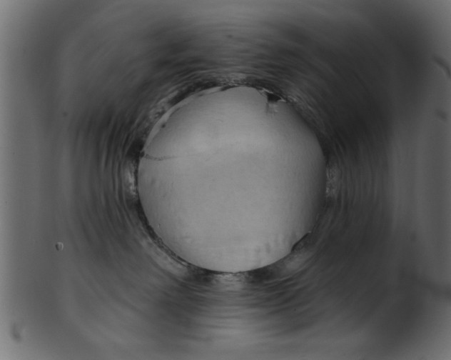 X0000101210238200807181425