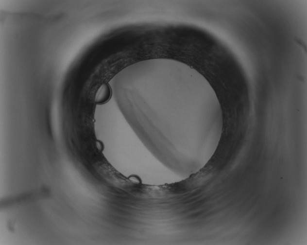 X0000101210239200807181425