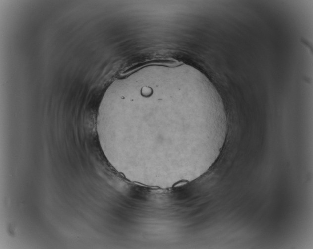 X0000101210240200807181425