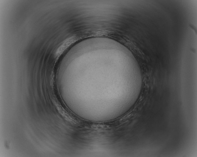 X0000101210242200807181424