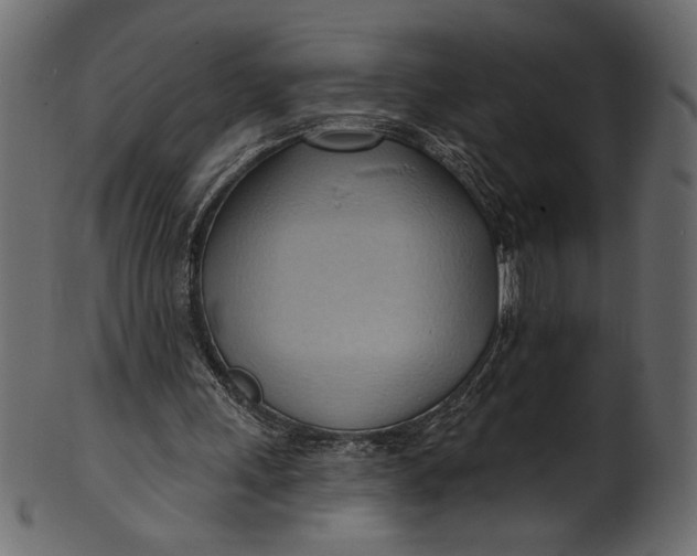 X0000101210243200807181424