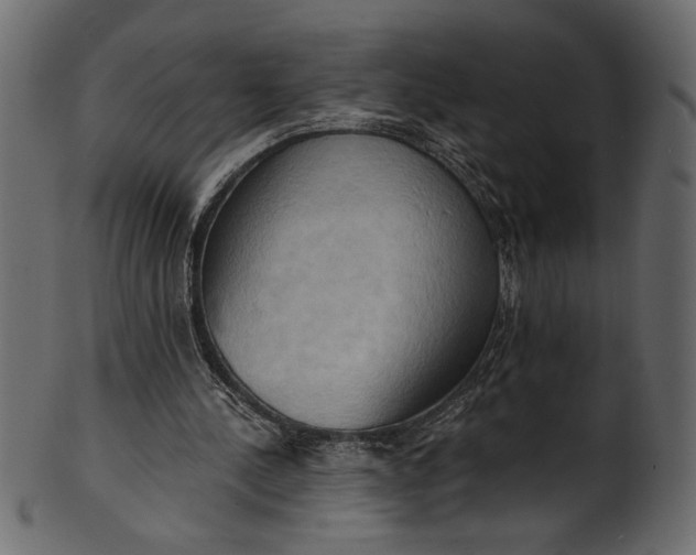 X0000101210244200807181424