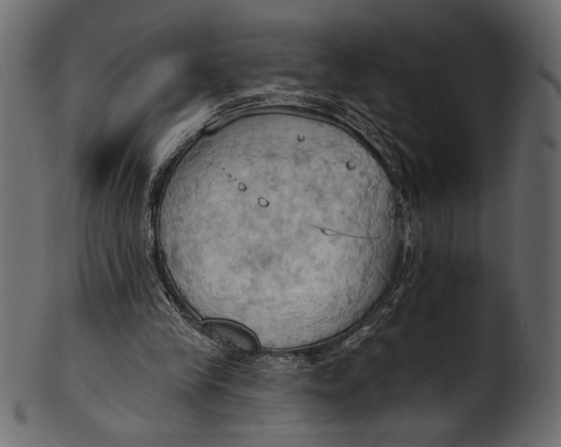 X0000101210245200807181424