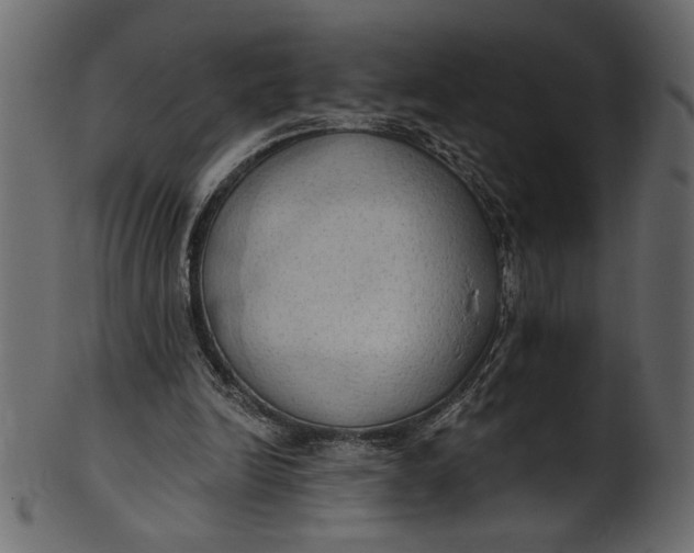 X0000101210246200807181424