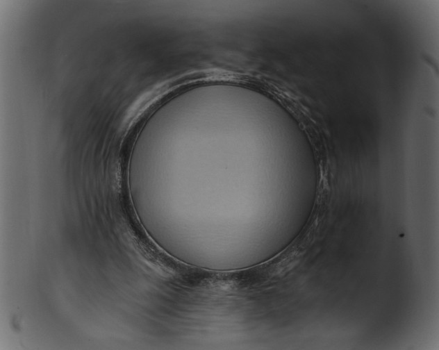 X0000101210247200807181424