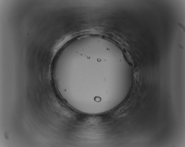 X0000101210248200807181424