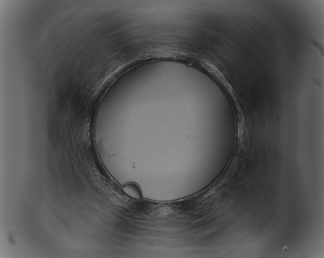 X0000101210249200807181424