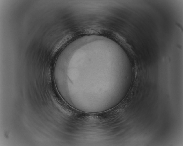 X0000101210250200807181425