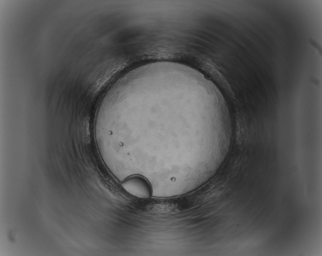 X0000101210251200807181425