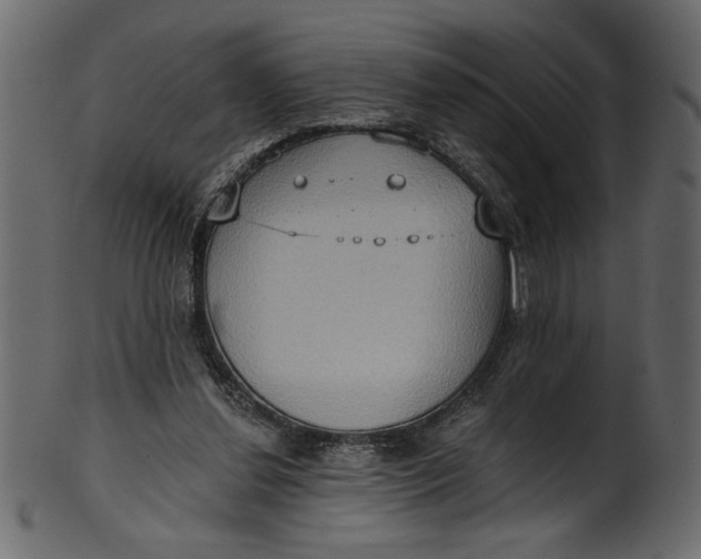 X0000101210252200807181425