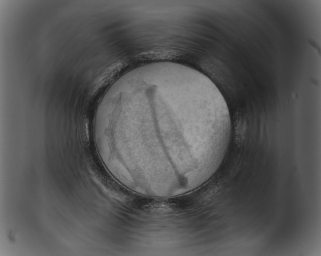 X0000101210254200807181425