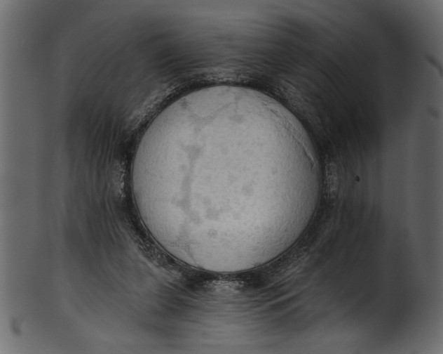 X0000101210255200807181425