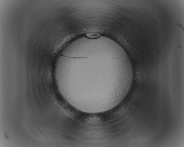 X0000101210256200807181425