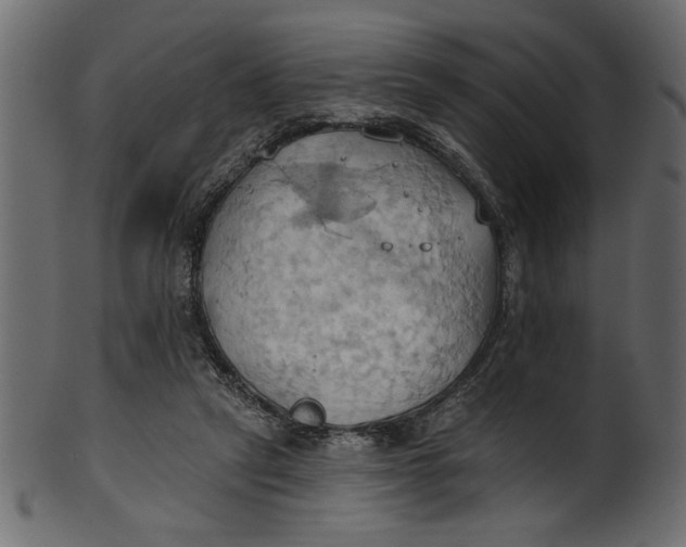 X0000101210257200807181425