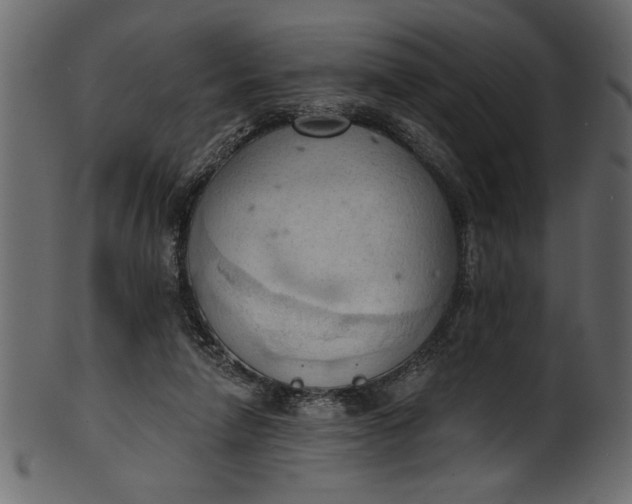 X0000101210258200807181425